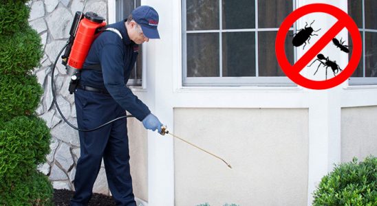 Bekilli Dezenfeksiyon böcek ilaçlama ve haşere kontrolü — ilaclama-tr.com